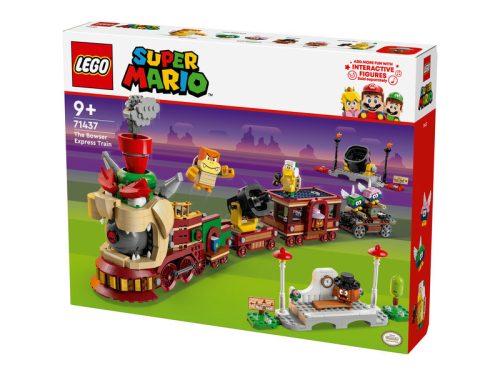 LEGO Super Mario 71437 H50071437