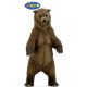 Papo grizzly medve 50153