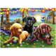 Ravensburger Puzzle 100 db - Kutyus piknik