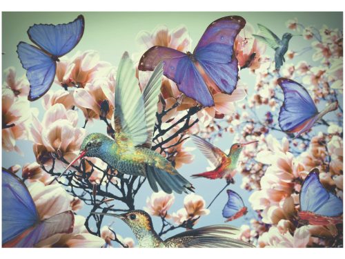 Ravensburger Puzzle 300 db - Kolibri